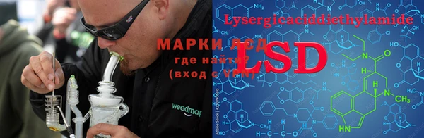 прущие грибы Алексеевка