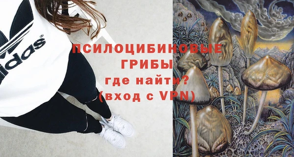 прущие грибы Алексеевка