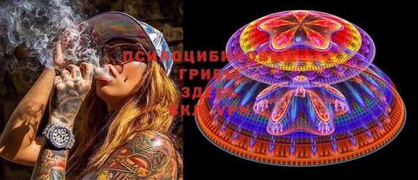 прущие грибы Алексеевка