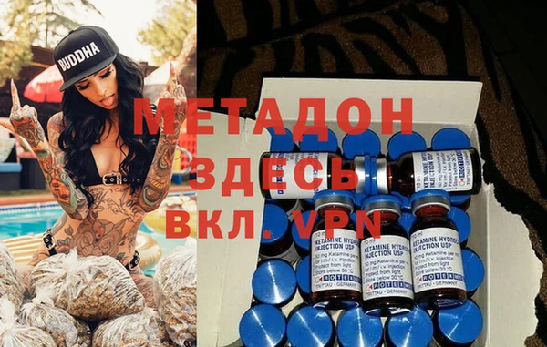 прущие грибы Алексеевка