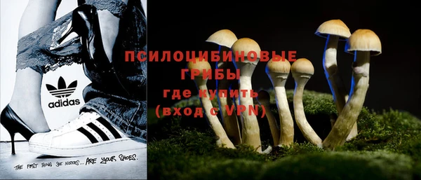 прущие грибы Алексеевка