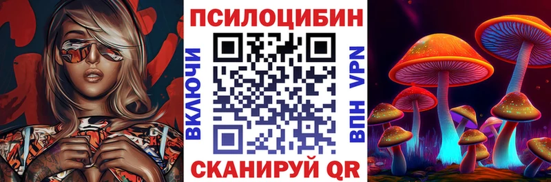 Псилоцибиновые грибы GOLDEN TEACHER  Прохладный 
